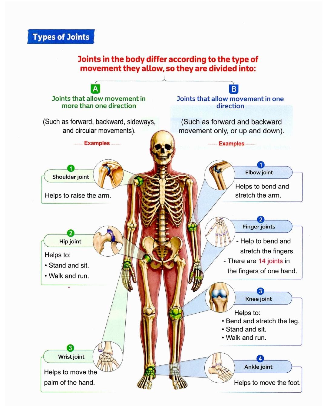 Lesson page 4: types of joints A and B with examples