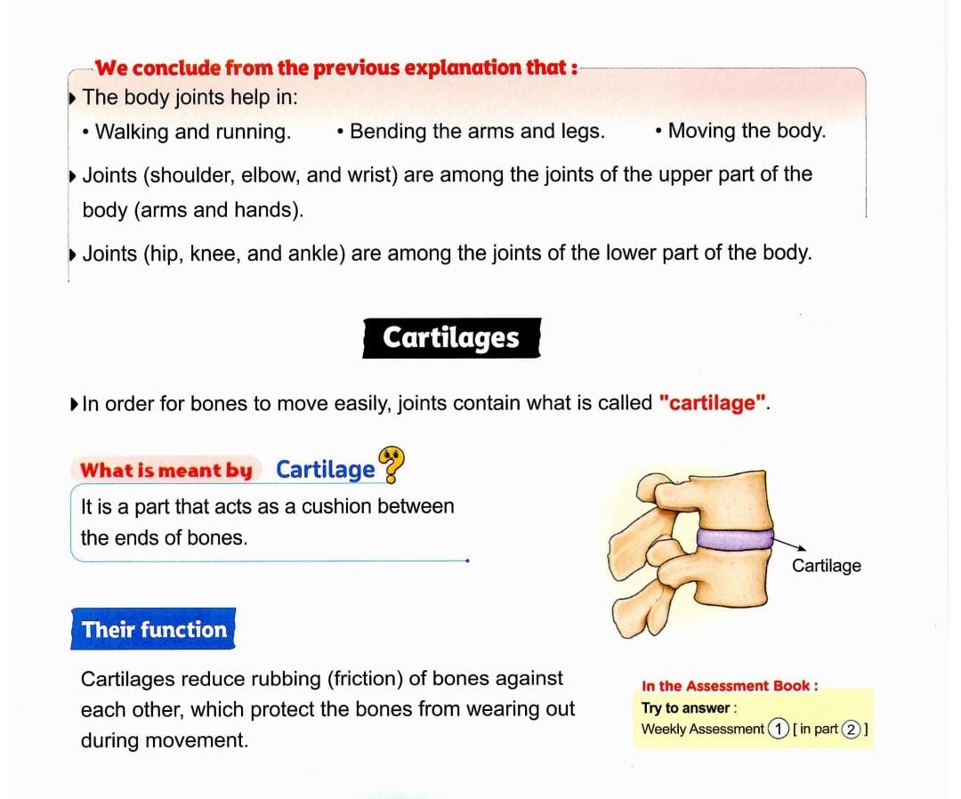 Lesson page 5: joint summary and cartilage